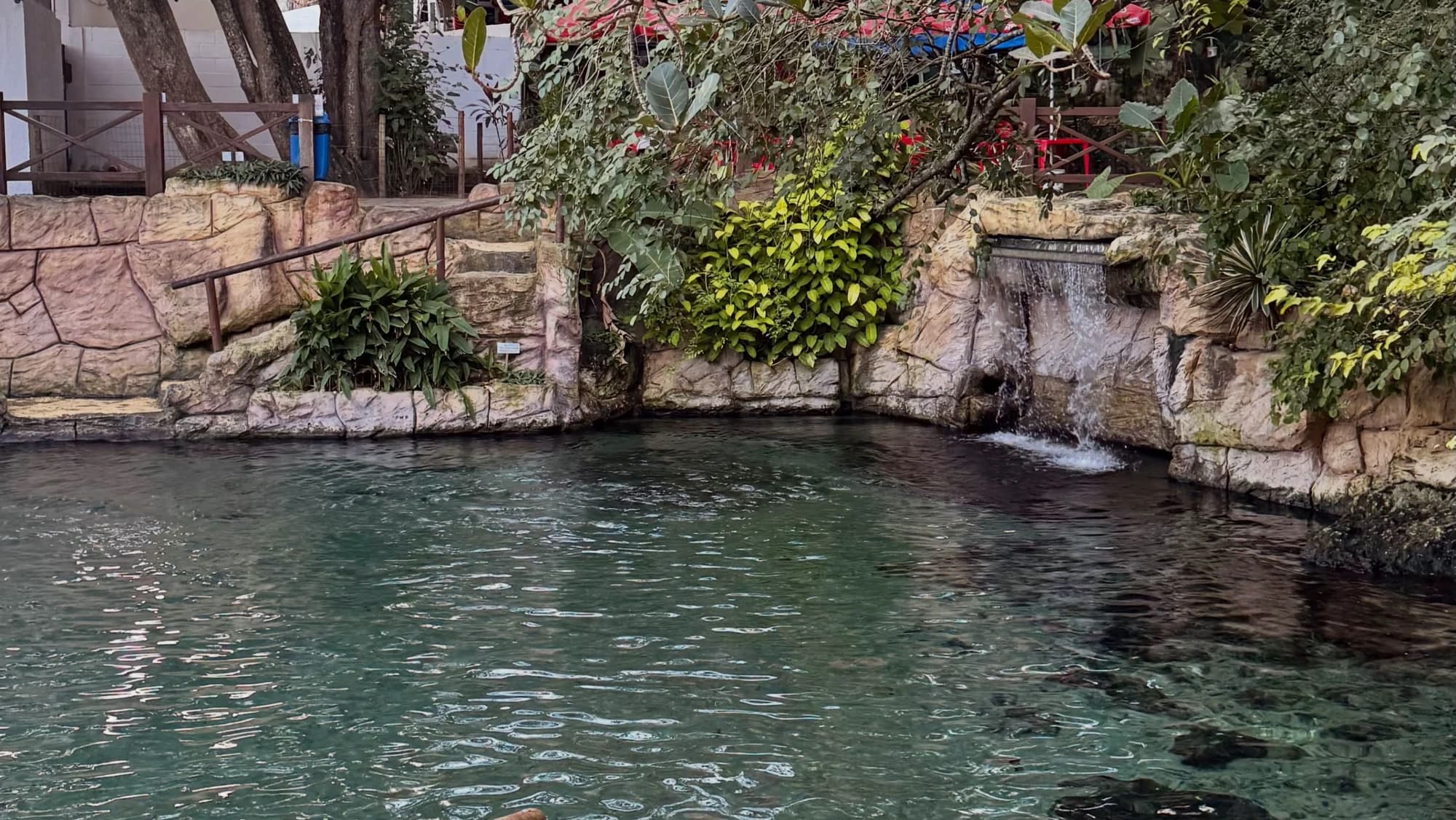 Piscina de água doce do Olheiro de Pureza, cercada de pedra e mata